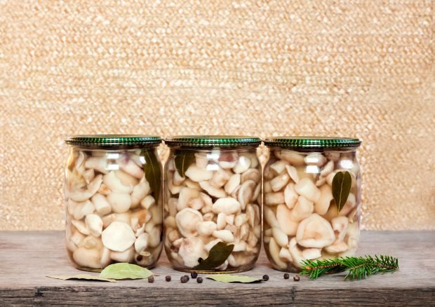 Pickled signals for the winter with vinegar