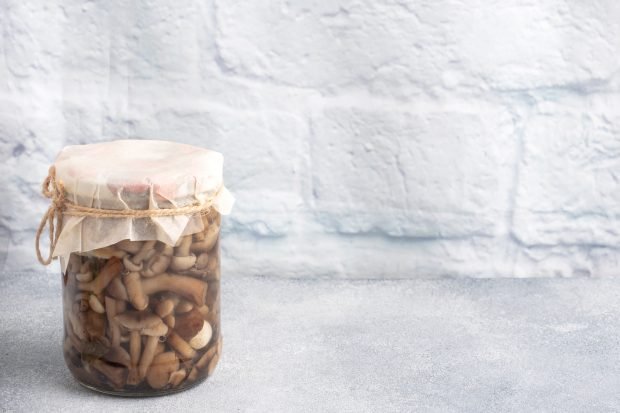 Salty honey mushrooms for the winter