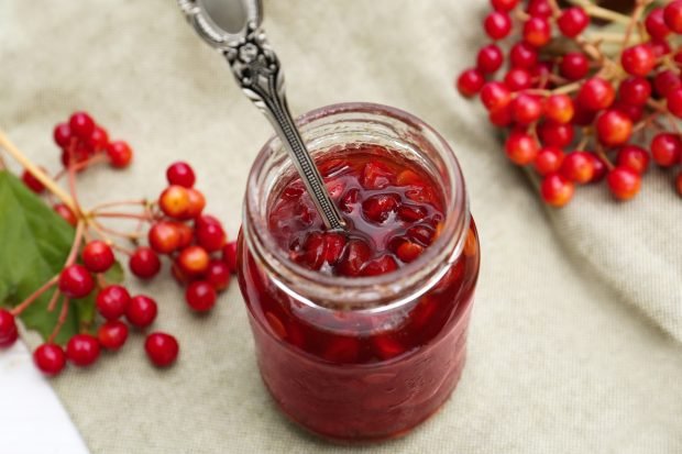 Viburnum jam with bones